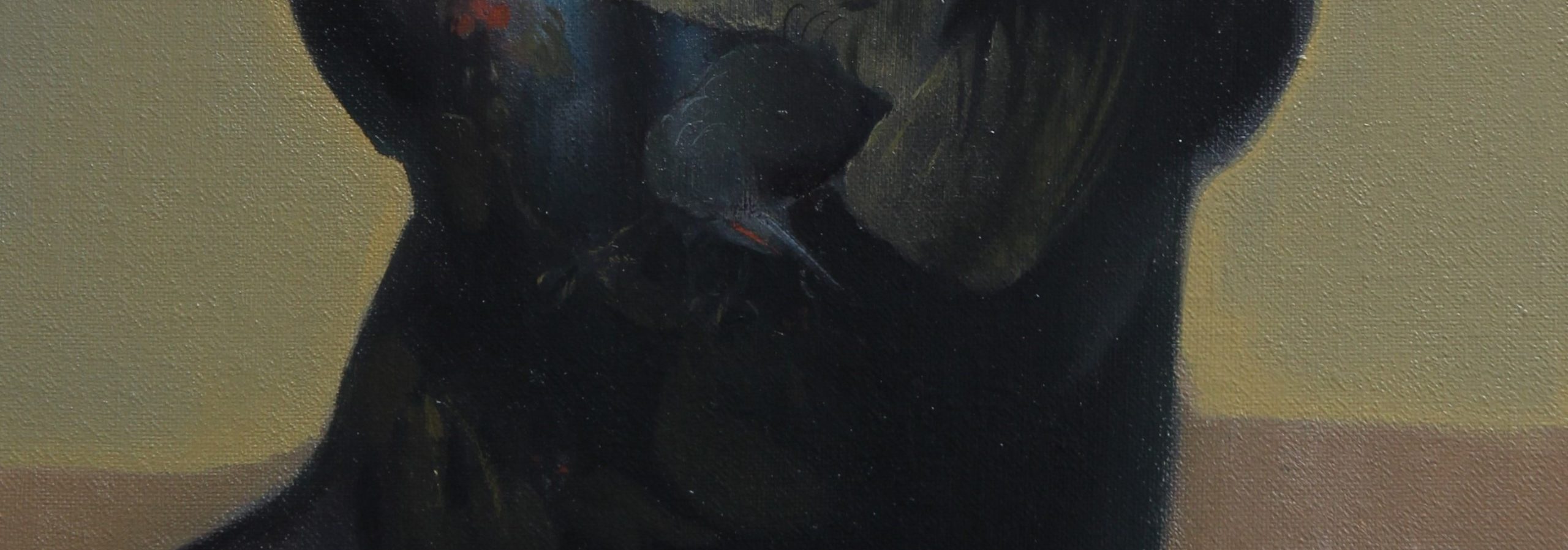 othello, oil on linen, 41x33cm, 2024 Crop2